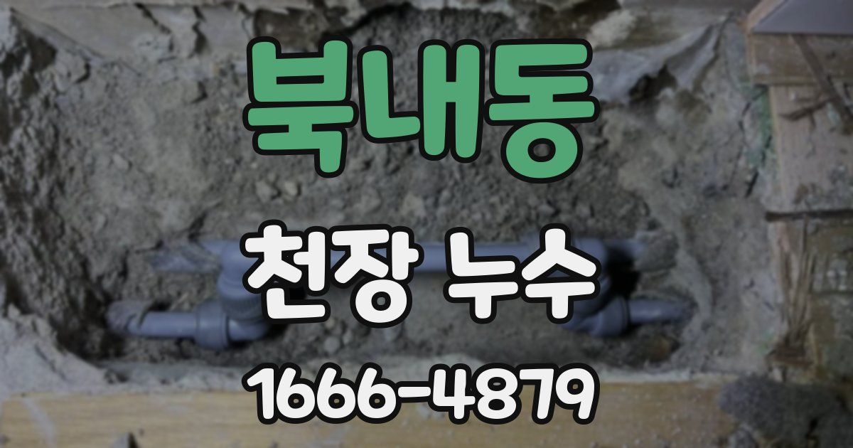 북내동 천장 누수