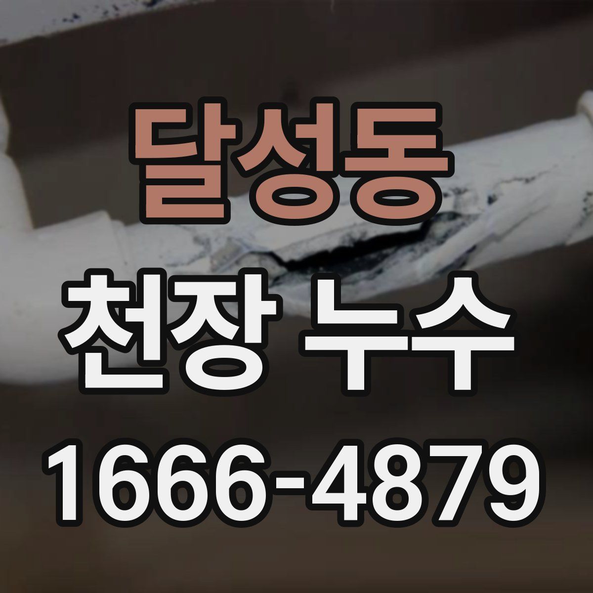 달성동 천장 누수