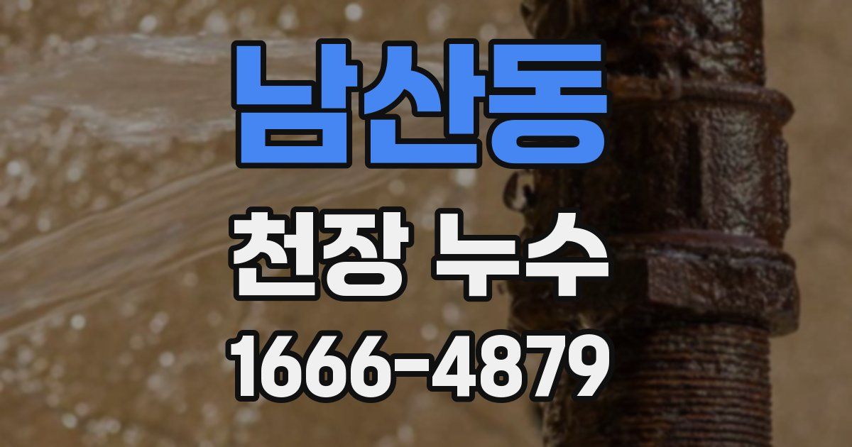 남산동 천장 누수