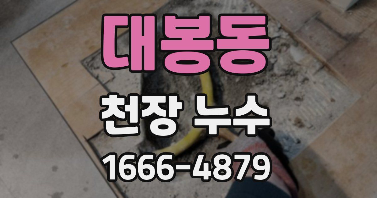 대봉동 천장 누수