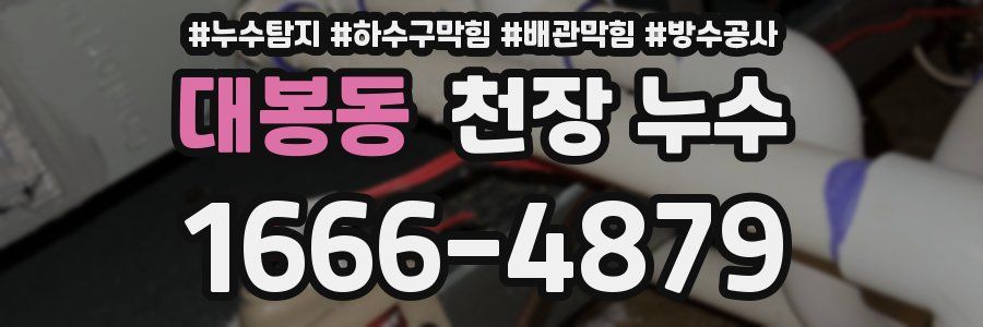 대봉동 천장 누수