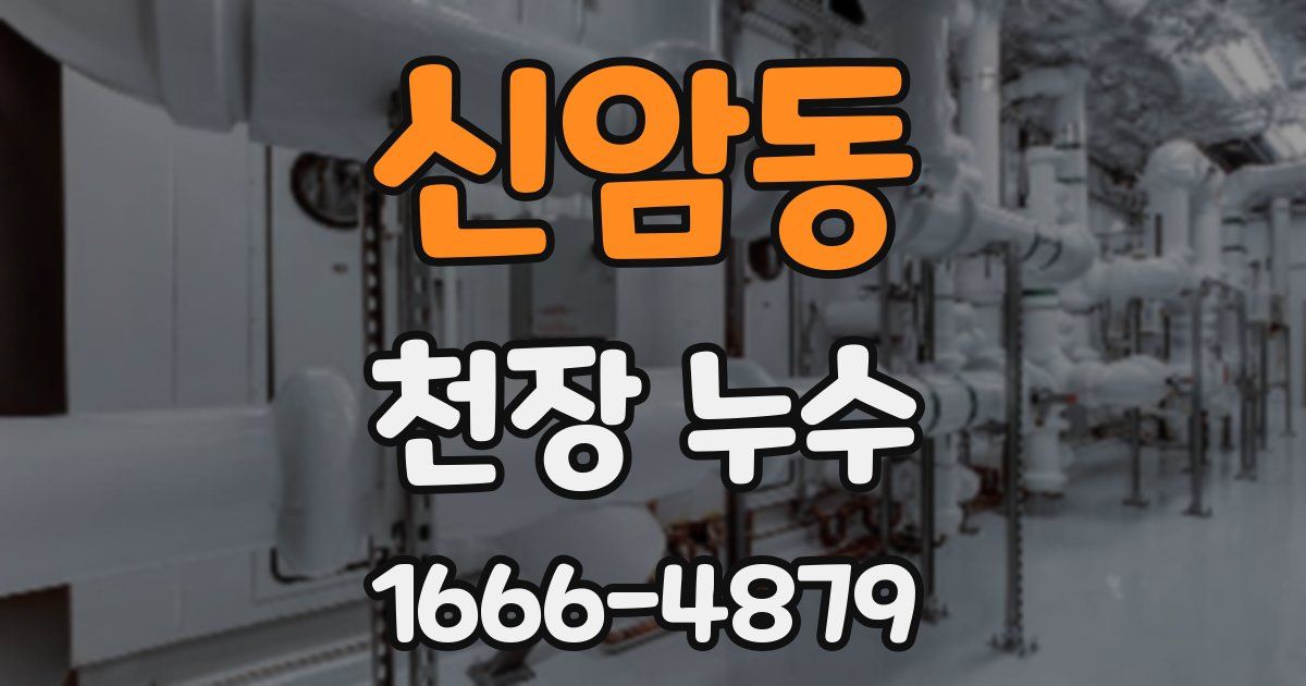 신암동 천장 누수