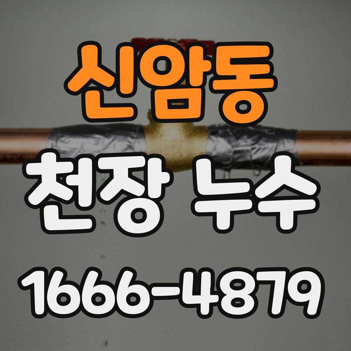 신암동 천장 누수