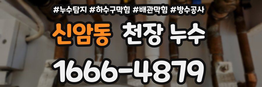 신암동 천장 누수