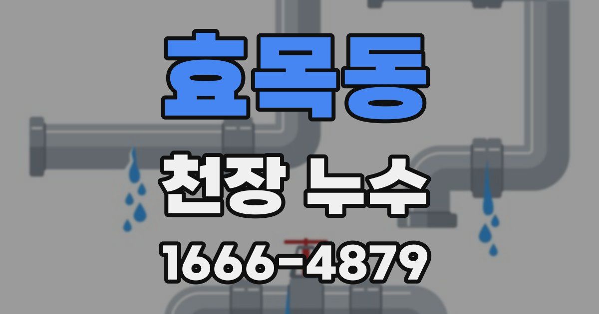 효목동 천장 누수