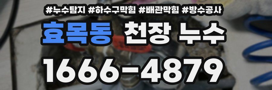 효목동 천장 누수