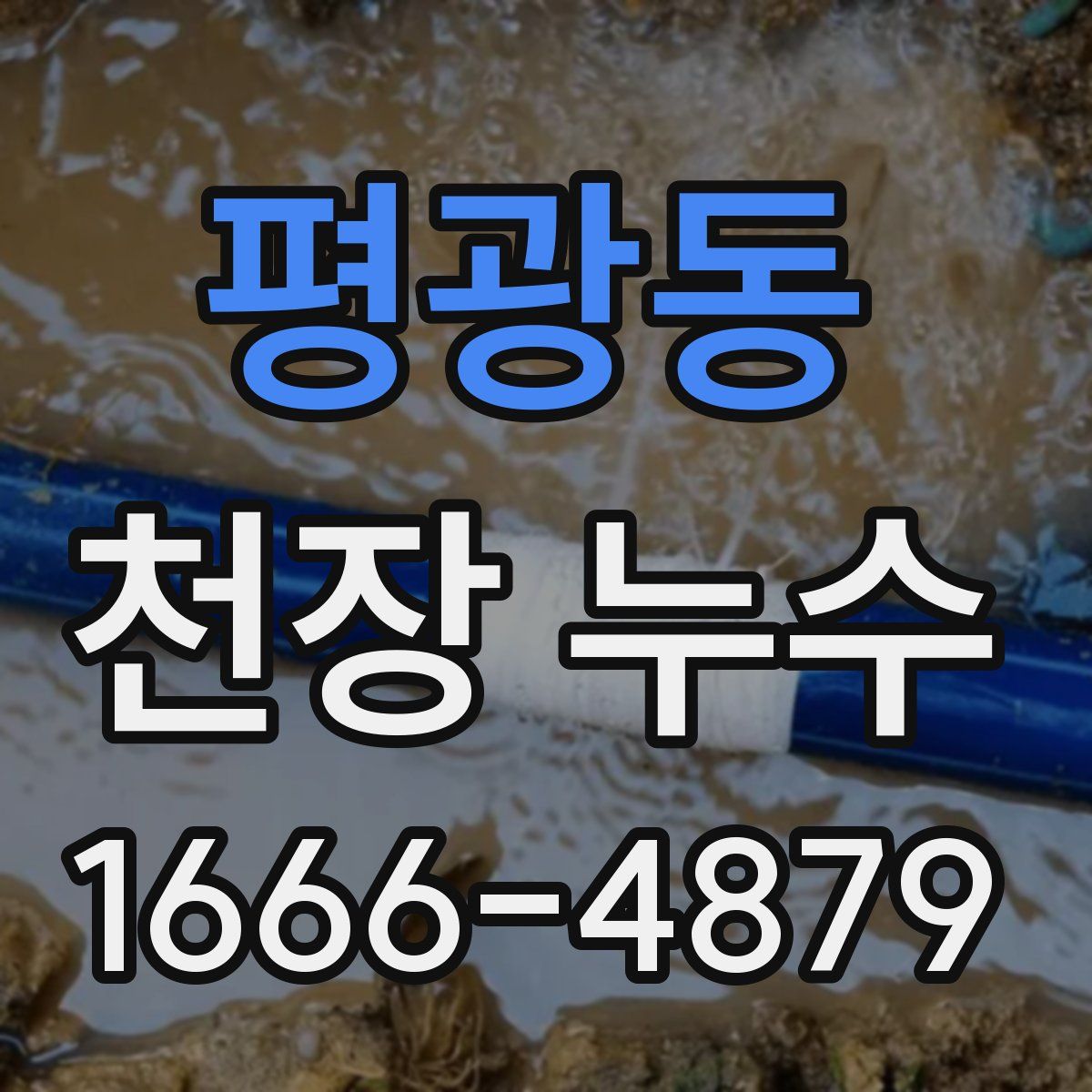 평광동 천장 누수