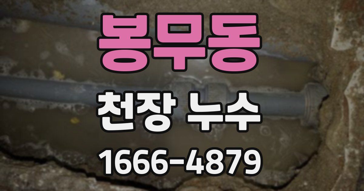 봉무동 천장 누수