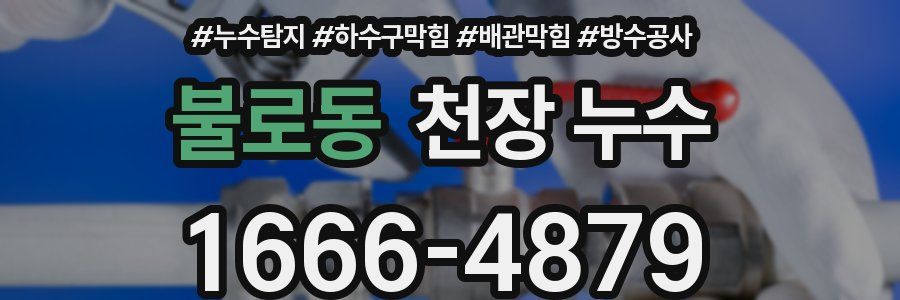 불로동 천장 누수