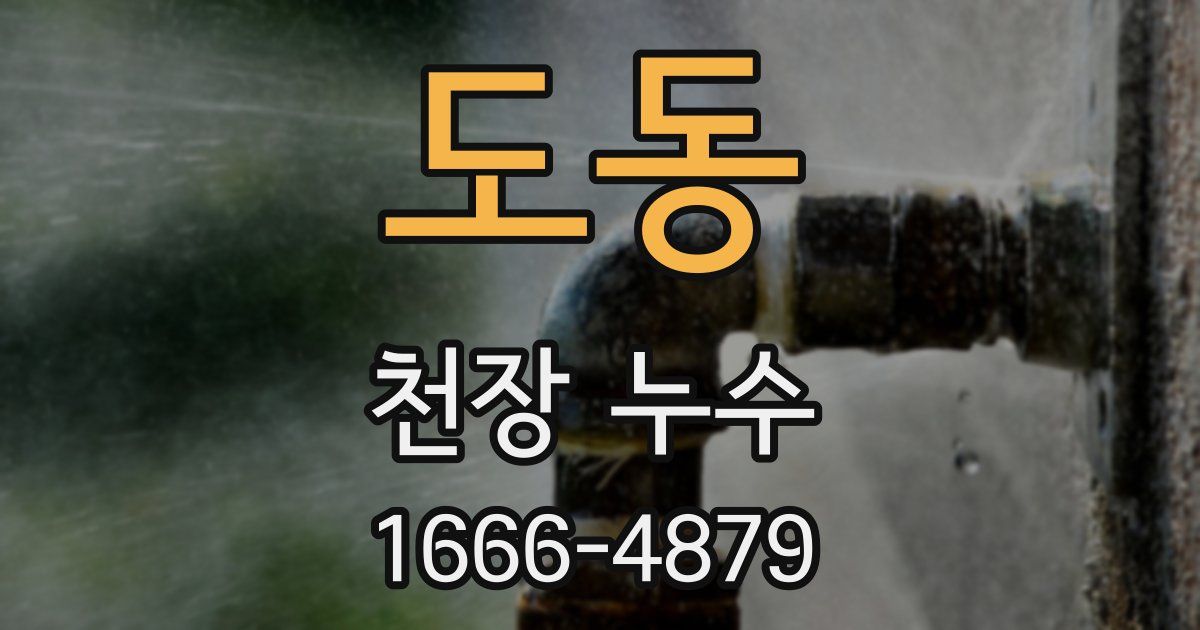 도동 천장 누수
