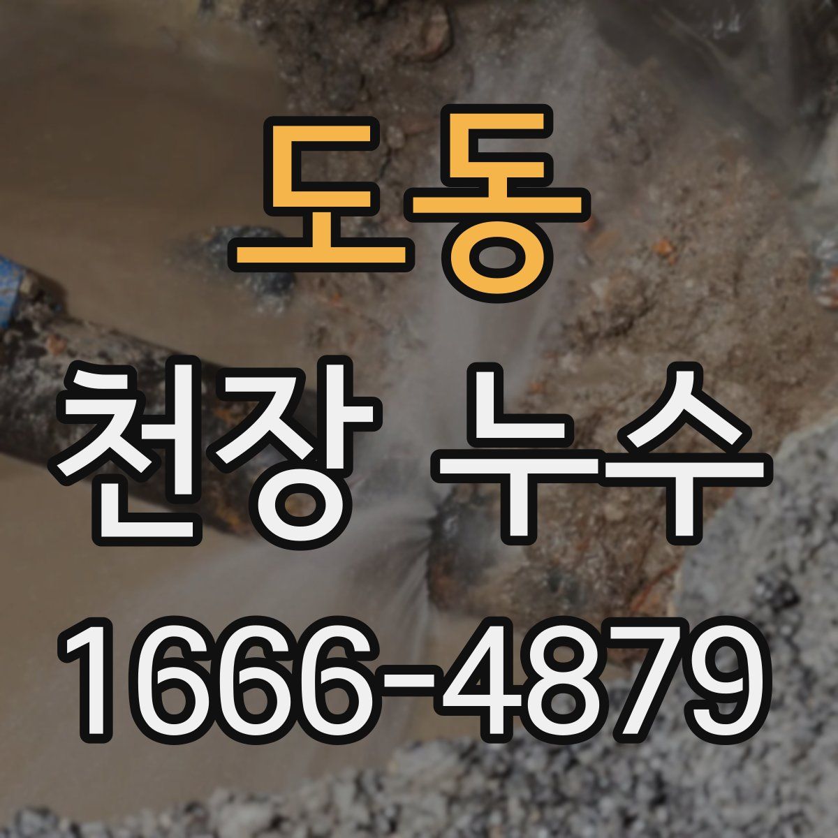 도동 천장 누수