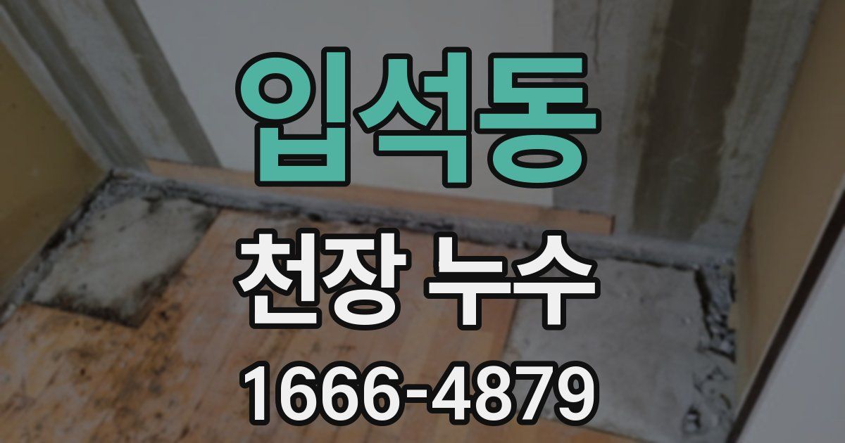 입석동 천장 누수