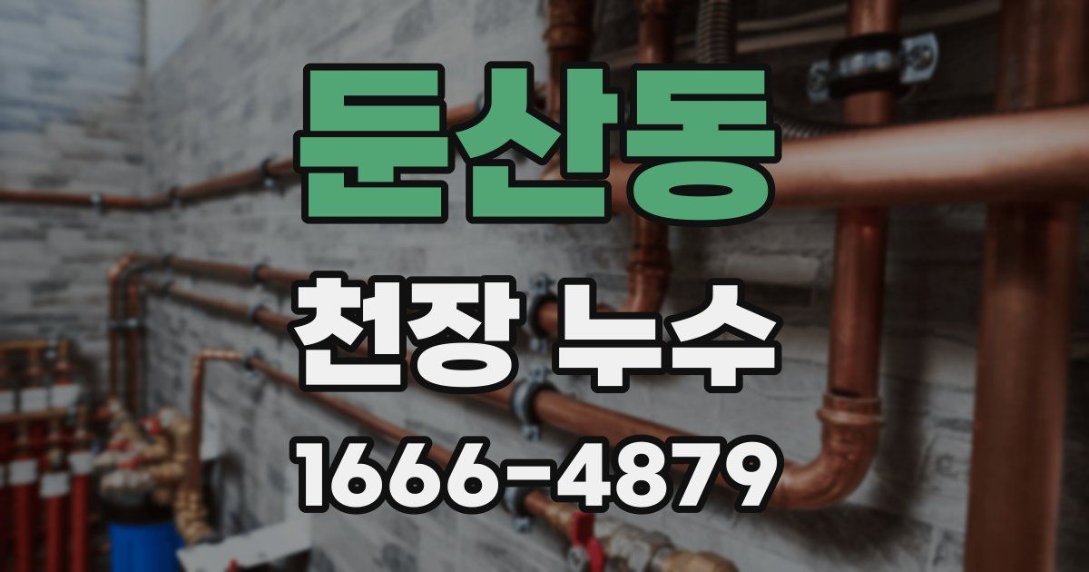 둔산동 천장 누수