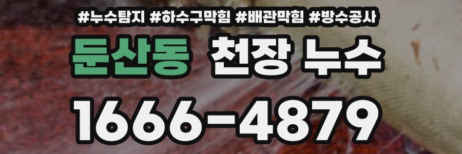 둔산동 천장 누수