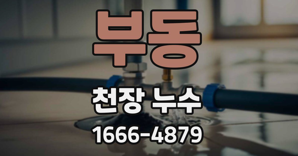 부동 천장 누수
