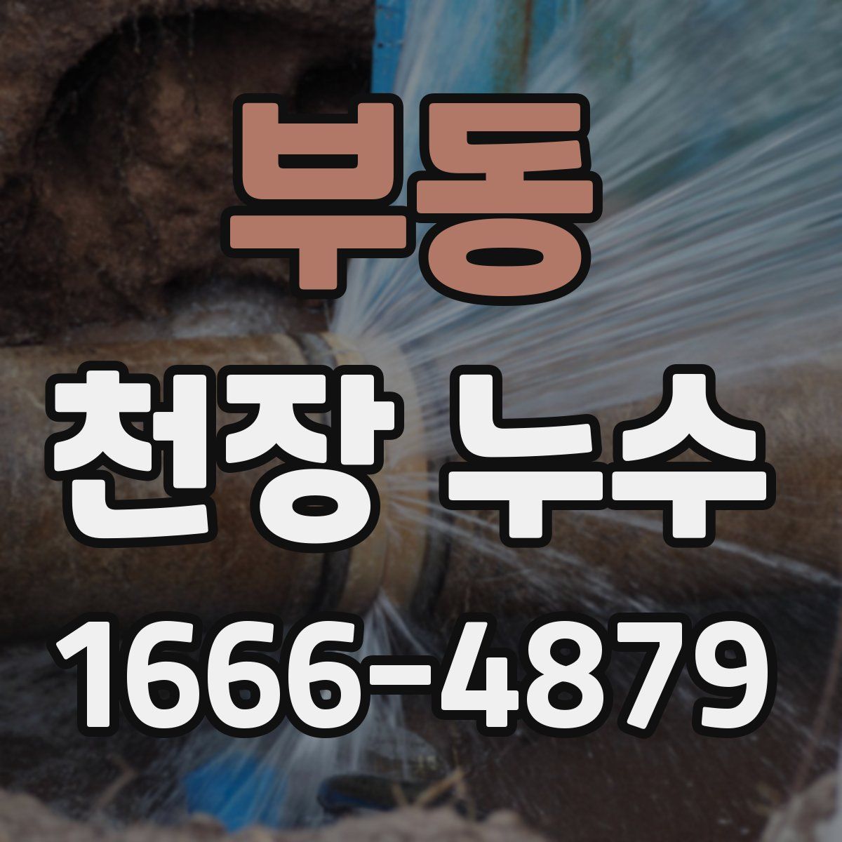 부동 천장 누수