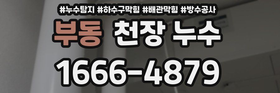 부동 천장 누수