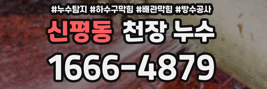 신평동 천장 누수