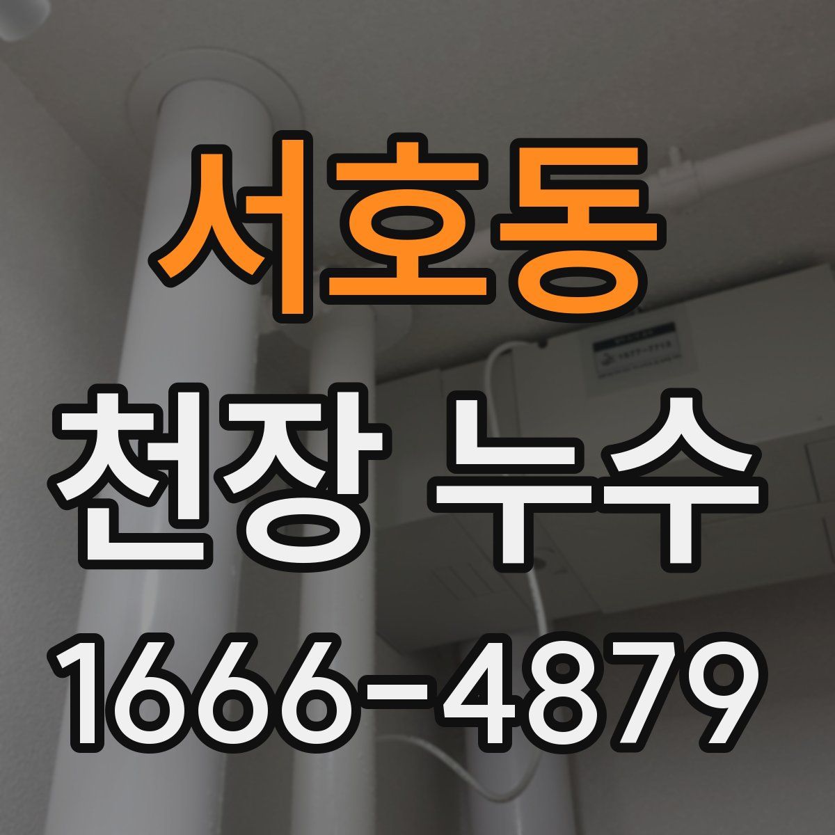 서호동 천장 누수