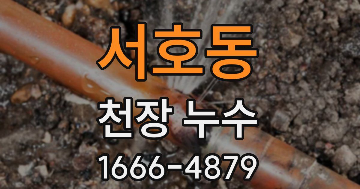 서호동 천장 누수
