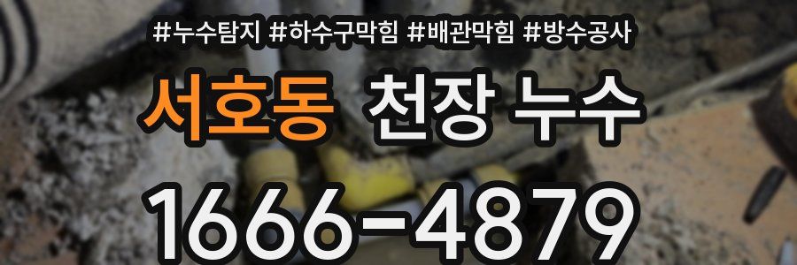 서호동 천장 누수