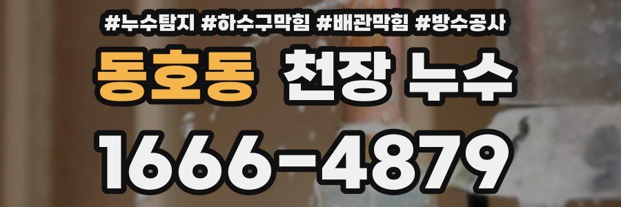 동호동 천장 누수