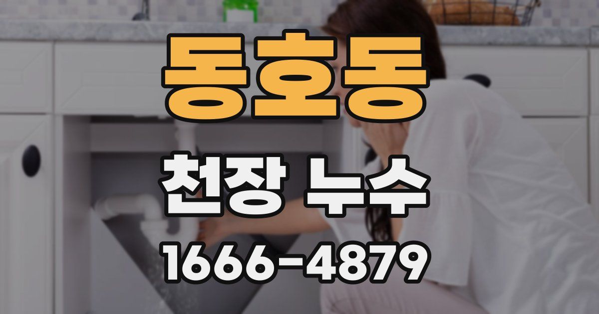 동호동 천장 누수