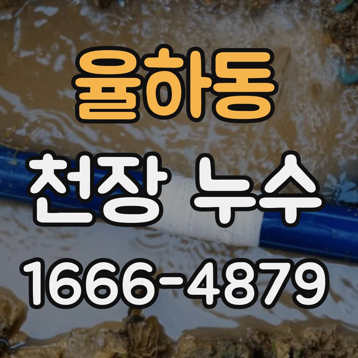 율하동 천장 누수