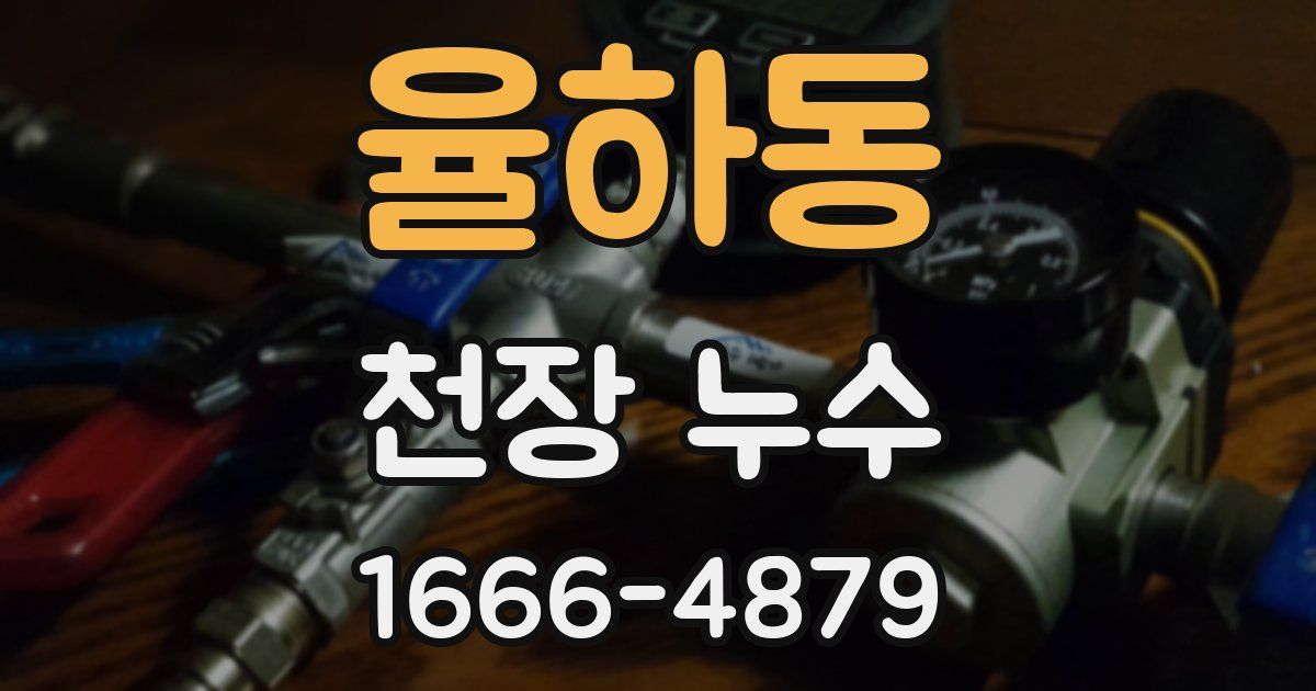 율하동 천장 누수