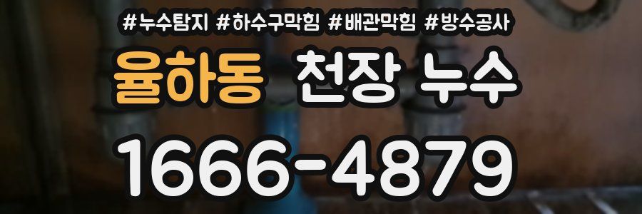 율하동 천장 누수