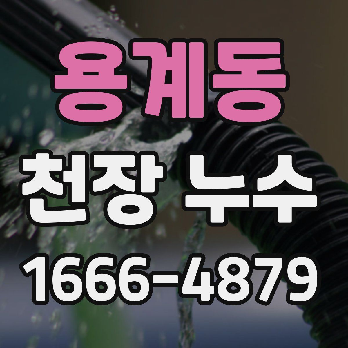 용계동 천장 누수