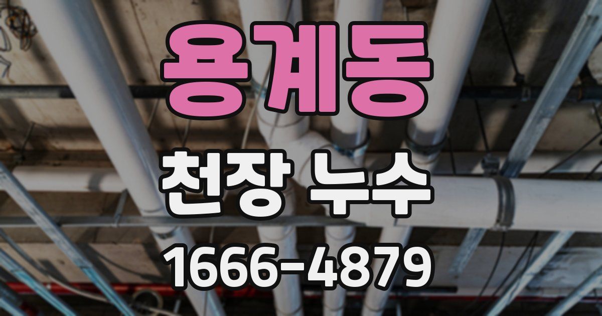 용계동 천장 누수
