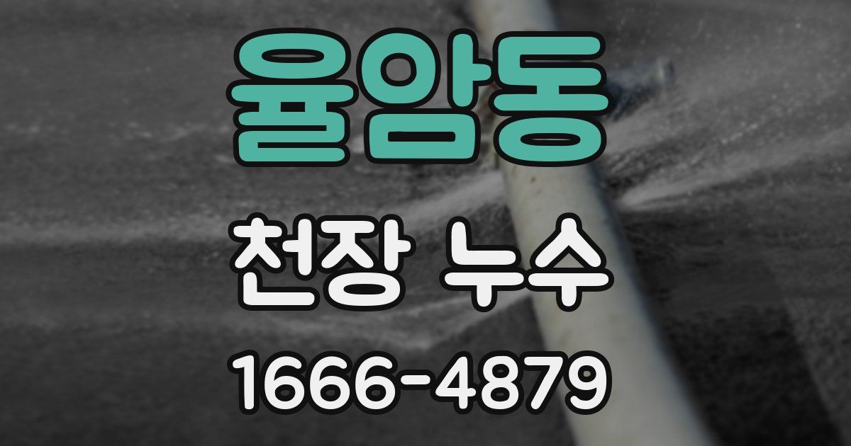 율암동 천장 누수