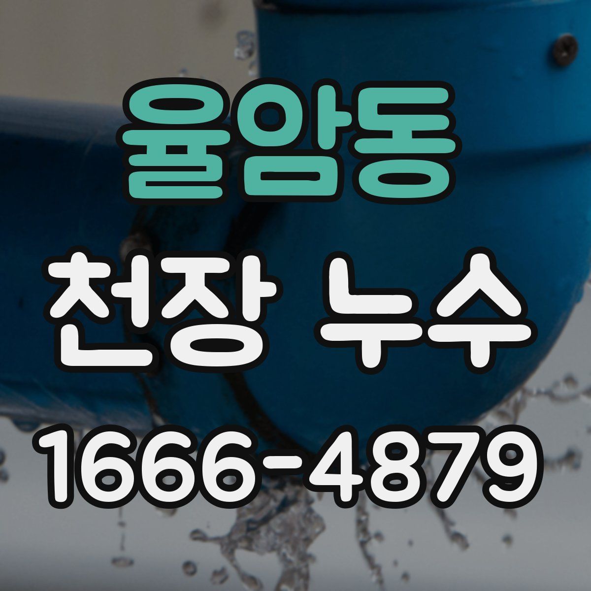 율암동 천장 누수
