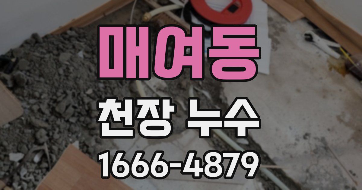 매여동 천장 누수