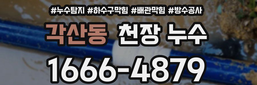 각산동 천장 누수