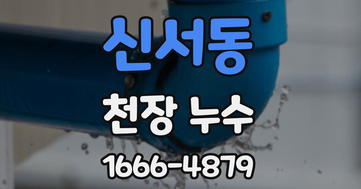 신서동 천장 누수