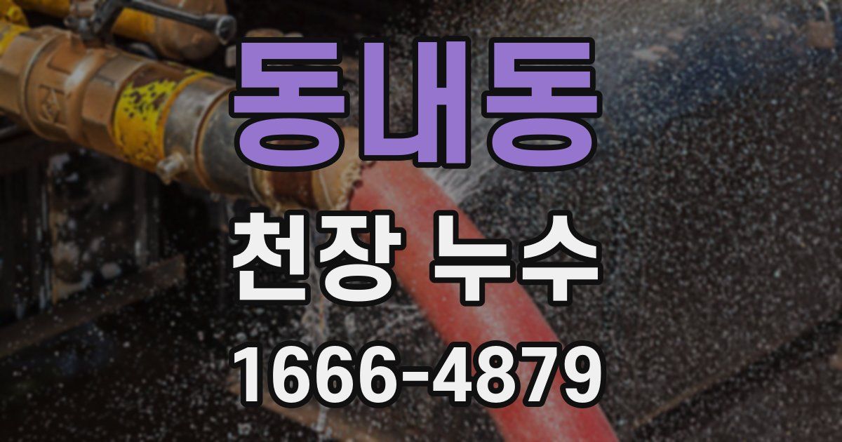 동내동 천장 누수