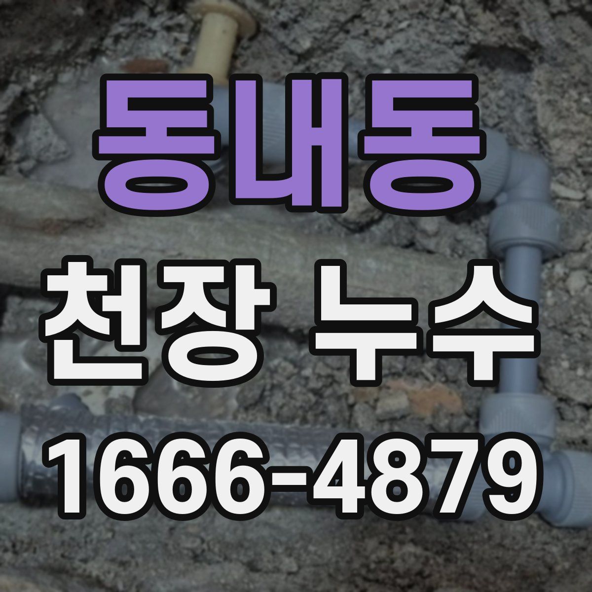 동내동 천장 누수