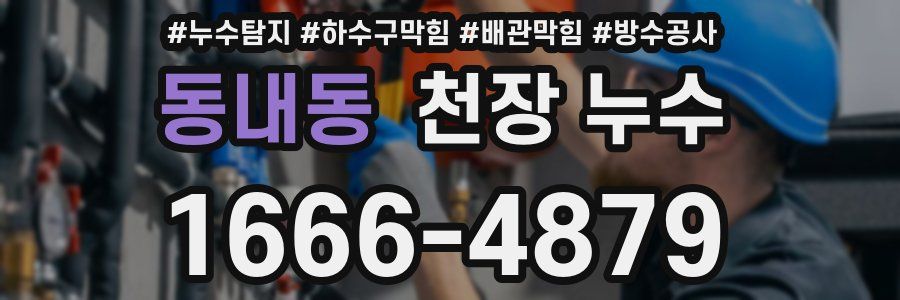동내동 천장 누수