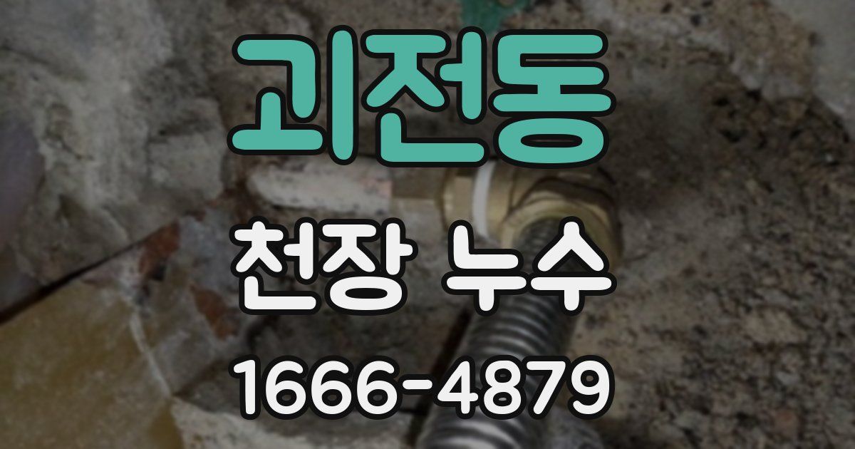 괴전동 천장 누수