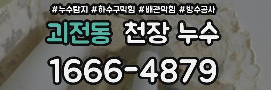 괴전동 천장 누수