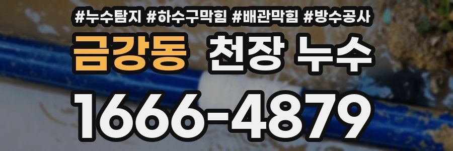 금강동 천장 누수