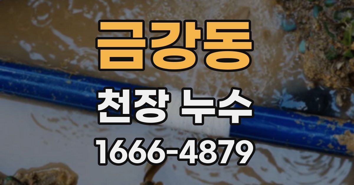 금강동 천장 누수