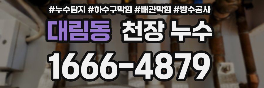 대림동 천장 누수