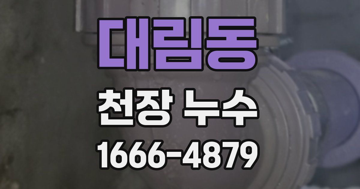 대림동 천장 누수