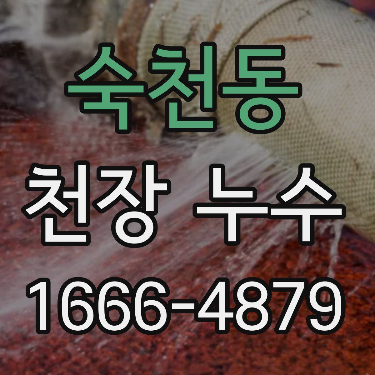 숙천동 천장 누수
