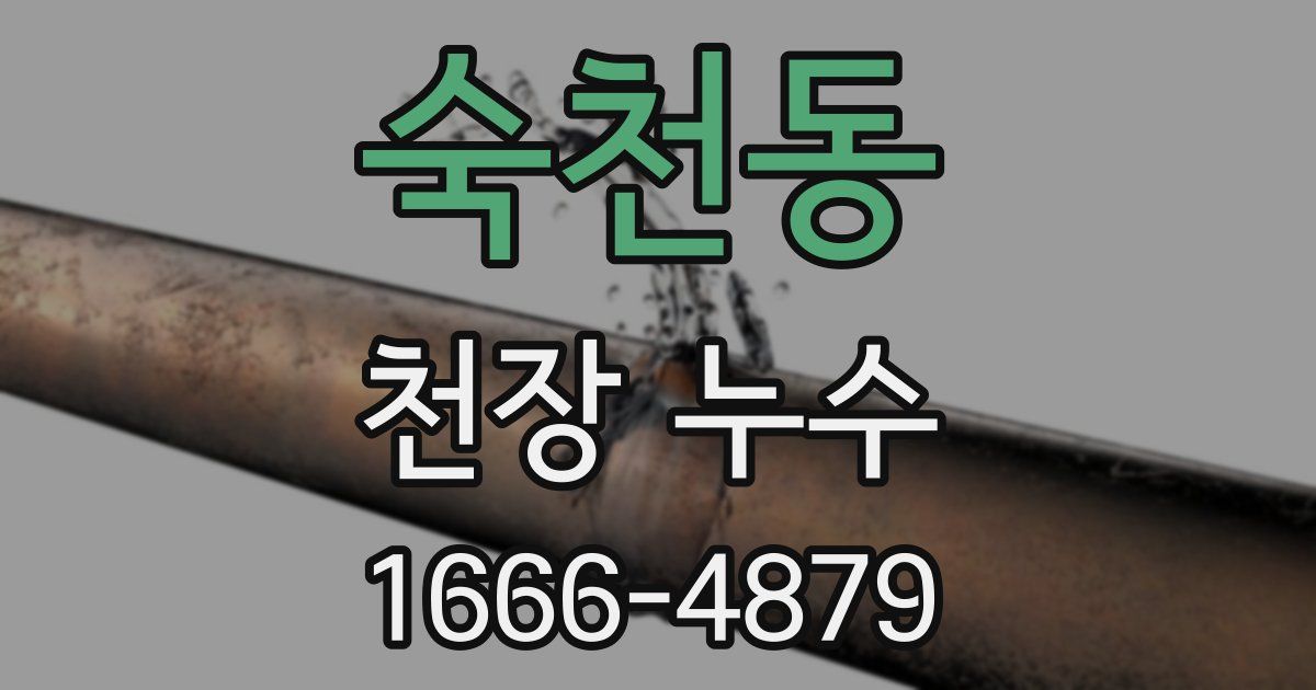 숙천동 천장 누수