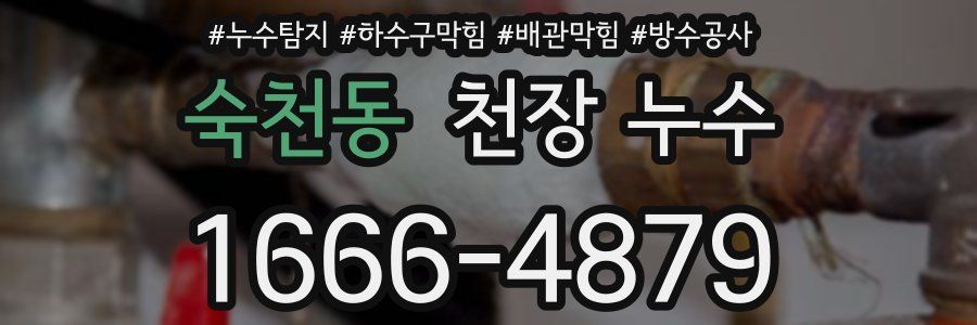 숙천동 천장 누수