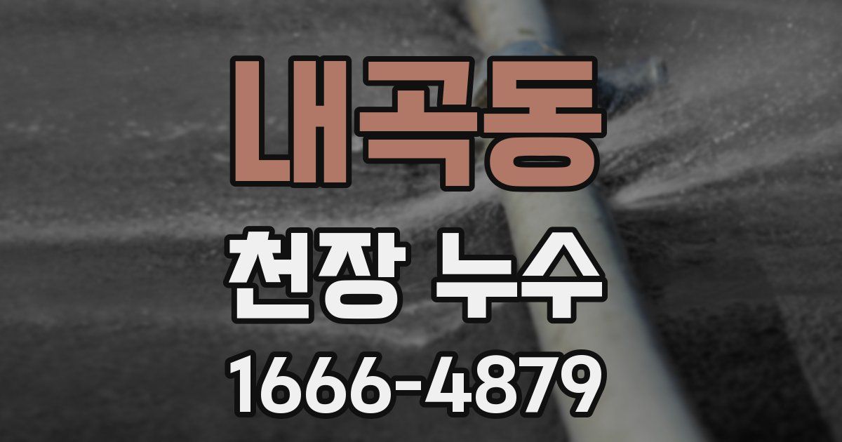 내곡동 천장 누수